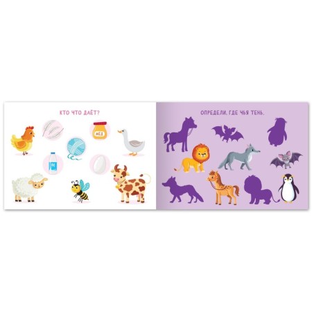 A book with the tasks “Find a couple”, from 5 years, 24 p.-1