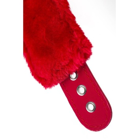 Toyfa collar, PU skin, red, 43 cm-8