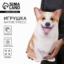 Antistress toy 