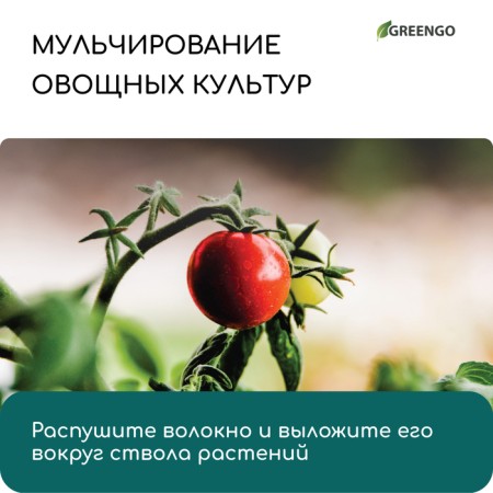 Coconut fiber, for mulching, 2 l, Greengo-5