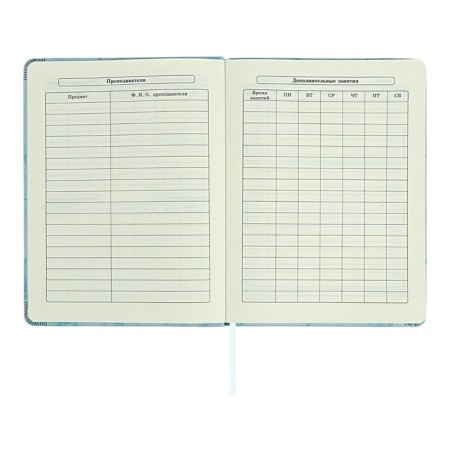 Diary 1-11 grade "Blue marble", artificial leather, a solid cover with embossing, with liesa, 48 sheets-6