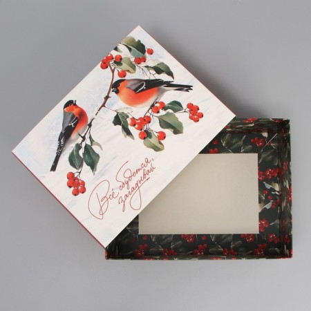 Box the national team "Bullfins", 20 x 15 x 8 cm, New Year-4