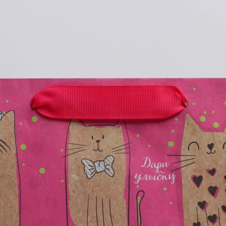 Package Gift Crafts Vertical, packaging, “Cute cats”, Ml 23 x 27 x 8 cm-3