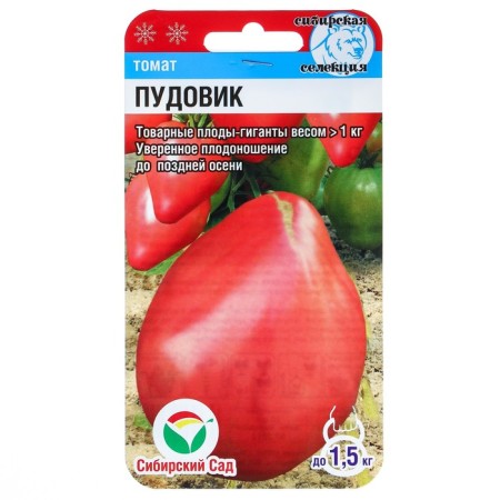 Semen Tomat "Pudovik" Middle End, 20 pcs