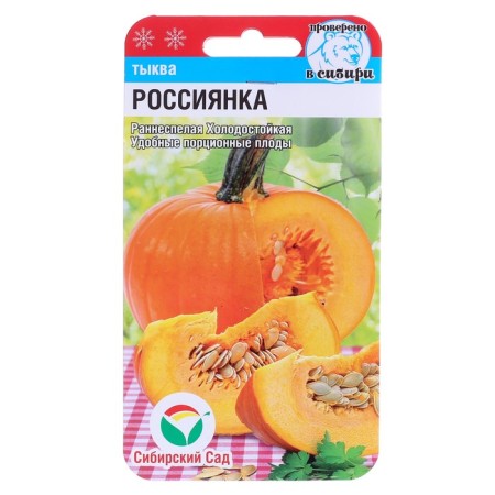 Seeds of pumpkin "Russian", 5 pcs