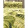 Rinewood rug Luca 65 cm, Palmer drawing, roll 20 pp.