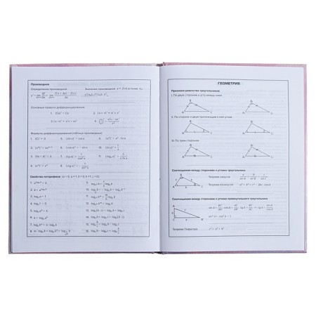 Universal Diary Grade 1-11, 48 sheets "Cat with a donut", hard cover, glossy lamination, foil embossing-10