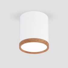 Ceiling accent light (SPOT) ELEKTROSTANDARD, DLR024 DL LED 6 W, 68x68x7 mm, IP20, white matte/light oak color