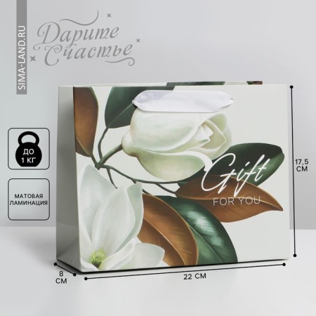 Gift Package Laminated, packaging, “Gift” 22 x 17.5 x 8 cm