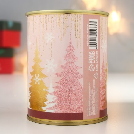 Pigger Bank Metal "For you on this magical holiday"-2