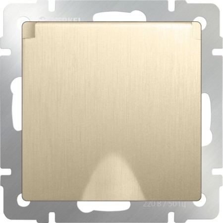 The socket is moisture. With ground. with defense. lid and curtains WL10-SKGSC-01-IP44, champagne color
