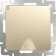 The socket is moisture. With ground. with defense. lid and curtains WL10-SKGSC-01-IP44, champagne color