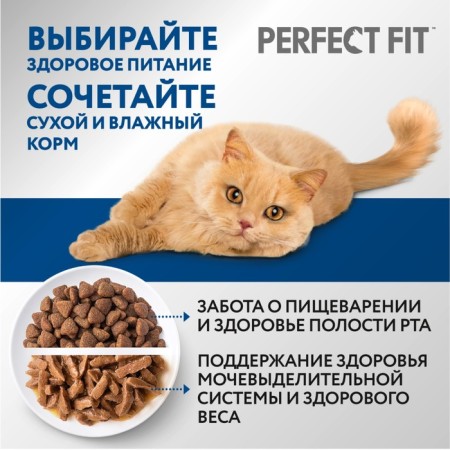 Dry food Perfect Fit for home cats, chicken, 650 g-7