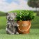 Figure pot "A kitten with a bucket" 18x10x16cm, gray with bronze
