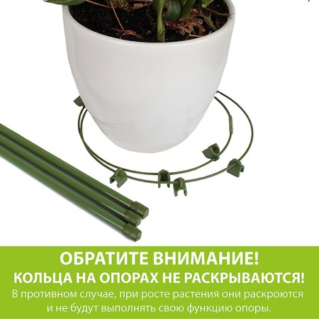 Support for plants, 2 rings, h = 40 cm, d = 20 cm, metal-2