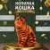 The piggy bank "Cat Tiger Color" height is 31.5 cm, width 16 cm, length 24 cm.