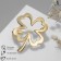 Brooch "Clover" contour, color gold