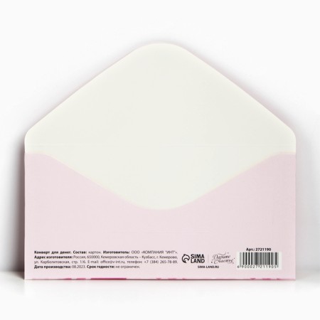 Money envelope "Pink Bant" 16.5 x 8 cm-1