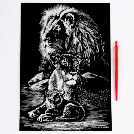 Engraving. Set of engravings "Family of cats", A4, 4 pcs-3