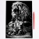 Engraving. Set of engravings "Family of cats", A4, 4 pcs