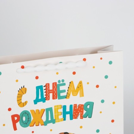 Laminated vertical package "Happy Birthday", m 26 x 30 x 9 cm-6