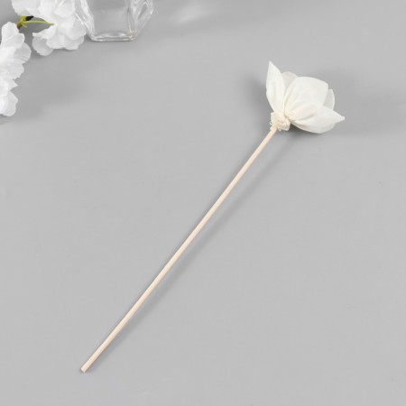Sticks for aromadiffusor "with flowers" set 4 pcs + a rattan ball-1