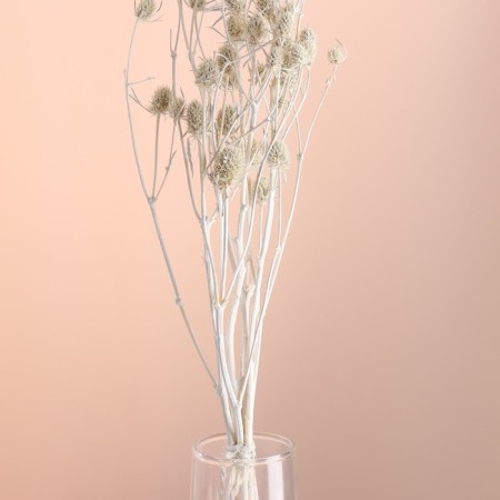 A set of dried flowers "Eringium", ban 5 pcs, length 50 (+/- 6 cm), white-1