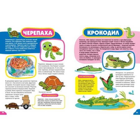 Animals for kids-11