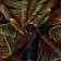 Golden Jungle Palace Pacific, 150x200cm, Aerosoft 190g/m, polyester