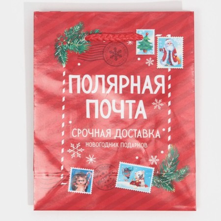Packet Laminated Vertical Polar Mail, S 11.5 x 14.5 x 5.5 cm, New Year-5