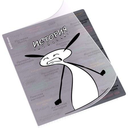 A set of subject notebooks 48 sheets, 12 pieces, Erichkrause "Chubrik", plastic cover silk-screen covers, Blok Offset 100%, information block-2