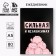 Diary in the soft cover A5, 80 liters "strong and independent"