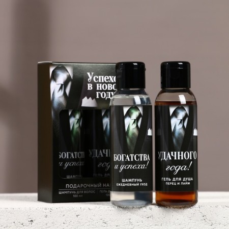 Gift set "Success in the New Year", shower gel and hair shampoo, 2x100-1
