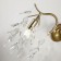 Wall lamp Brillo 160 mm, 250 mm, E14 40W