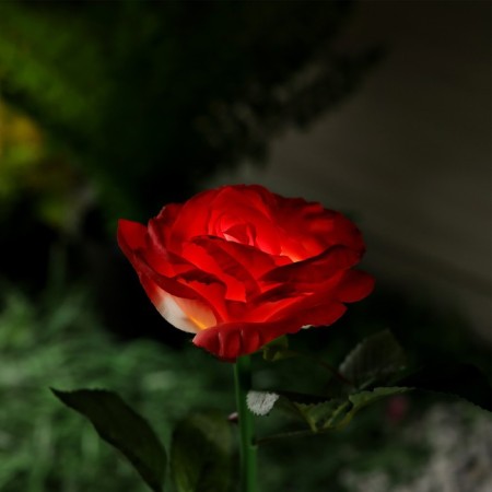 Garden lamp on the sunny battery "Rose Red", 75 cm, 5 LED, glow of white-3