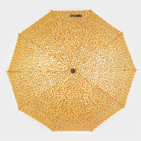 Umbrella - a semiautomatic “leopard” cane, Eponge, 10 spokes, r = 50 cm, color mix-9