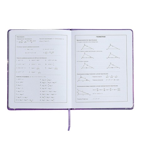 Universal Diary Grade 1-11, 48 sheets "Fairy", hard cover of artificial leather, lies, universal cheat sheet, block 80 g/m2-8