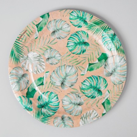 Disposable plate "tropics", craft, single -layer, 18 cm-1