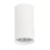 Ceiling lamp ST LUCE. ST157.542.15. 1x15 W, LED, 4000K, 1200 LM, 7.5x7.5x14 cm, white color
