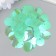 Sequins "circle" mint set 30 g d = 2 cm