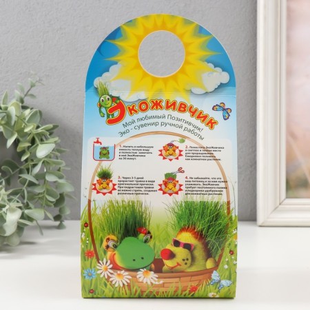 Growing gift Eco -Zhizhivchik "Guitarist" Mix-7