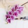 Artificial flowers "Tiger orchid" 90 cm, white-lilac