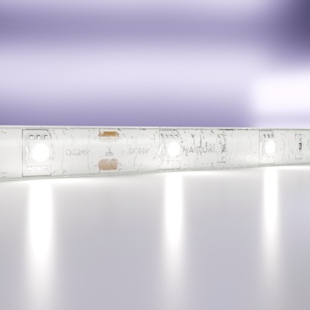 Maytoni Led Strip 10165, 24V, 5 m, IP65, 5050, 7.2 W/m, 10x2.3, 6000K, monochrome-1