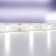 Maytoni Led Strip 10165, 24V, 5 m, IP65, 5050, 7.2 W/m, 10x2.3, 6000K, monochrome