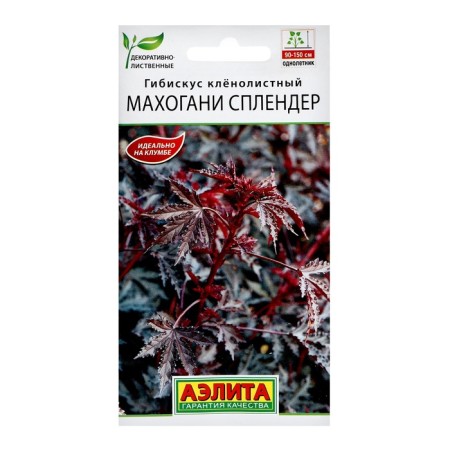 Hibiscus flowers "Mahogani spokes", c/p, 3 pcs