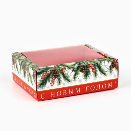 Folding box with a plastic lid "Cell and comfort", 11.5 x 9 x 4 cm, New Year-1