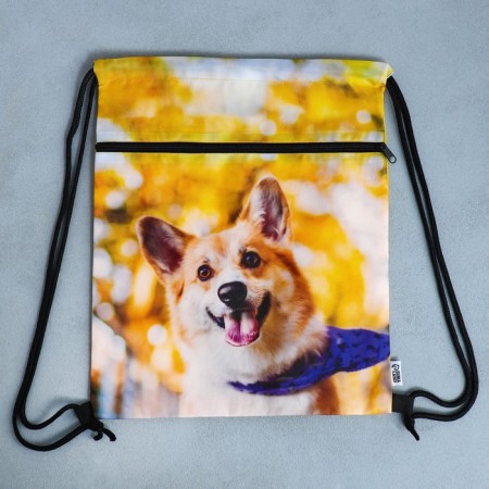 Back for shoes "Funny Corgi" 2 sections, 30 x 40 cm-7