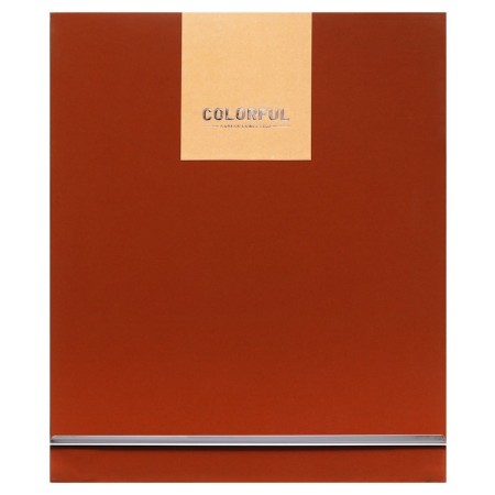 Organizer on the rings of A6+, 80 sheets, leatherette, with a stream, a line, with a handle, in a gift box, brown-12