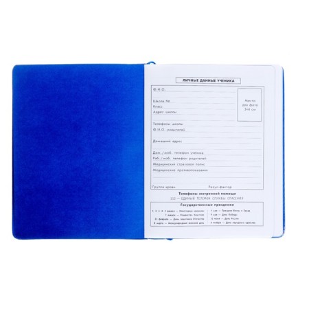 Diary, universal, for grades 1-11, “orange monstrik”, artificial leather, foam lining, 48 sheets-2