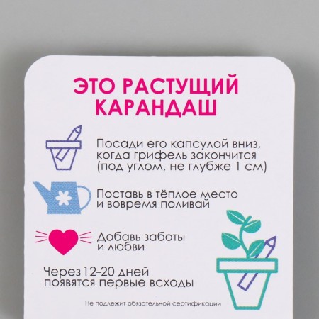 Growing gift pencils mini Fairy -tale grass "Lavender"-2